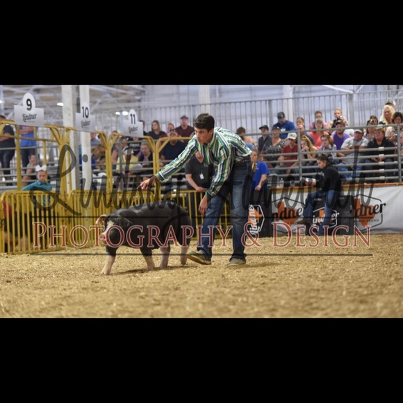 Meet your Posher, Kenyon - Picture 1 of 1